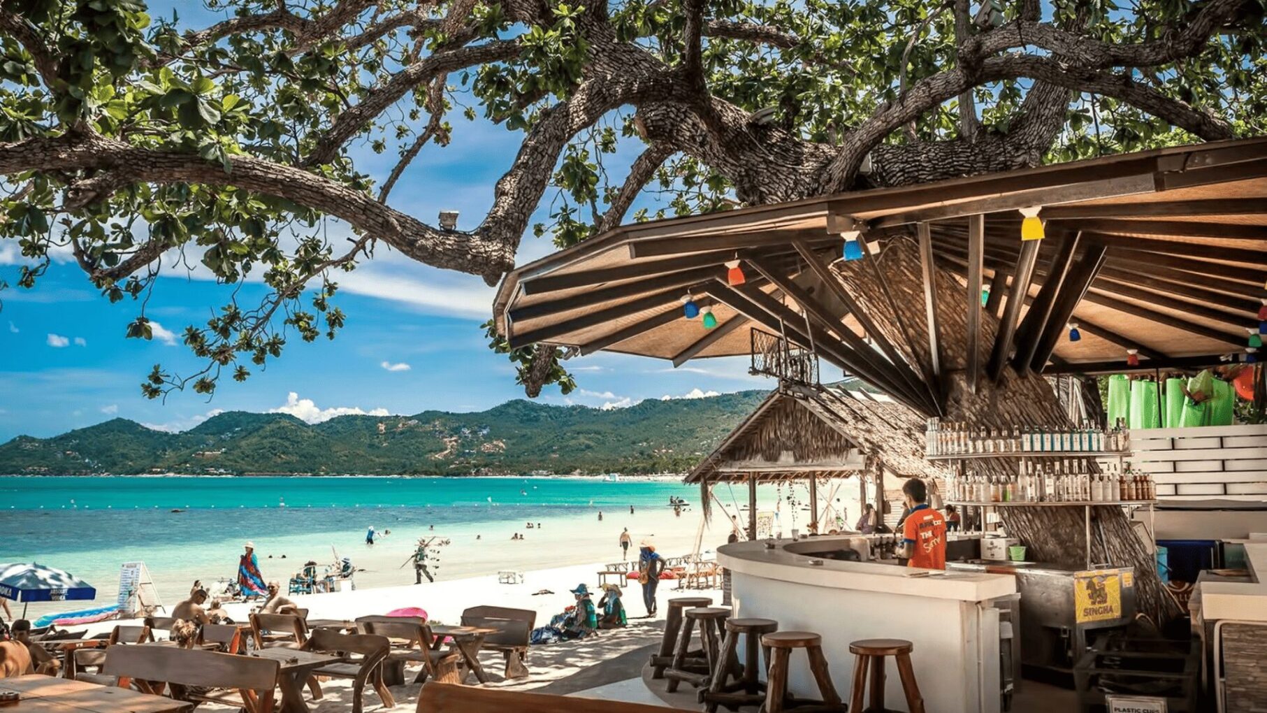 That Was The Week That Was — Koh Samui
