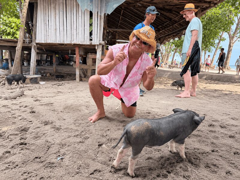 Pigs, Politicians, Paradise on Koh Samui