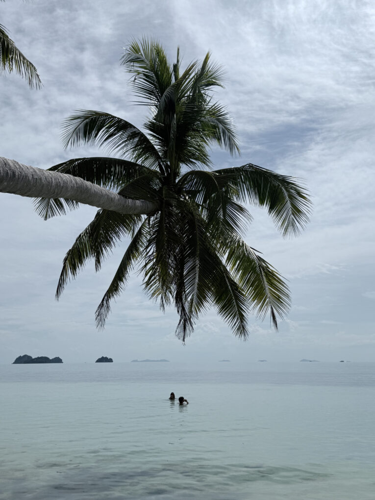 Koh Samui, the island Darryn Lyons calls his happy place