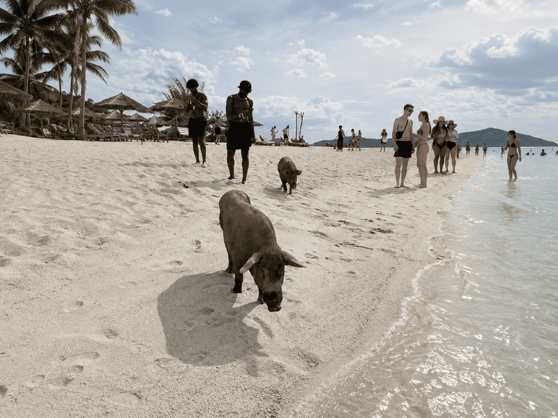What to Prepare Before You Land in Koh Samui (7)