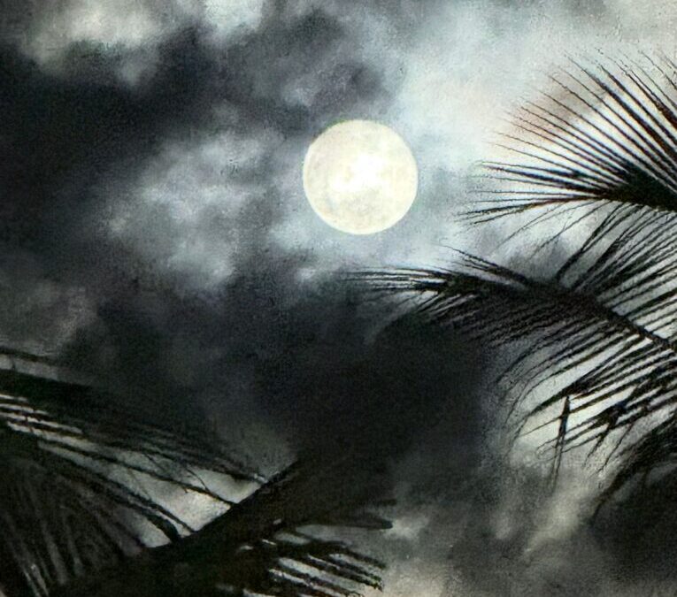 THAT WAS THE WEEK THAT WAS: THE WEEK KOH SAMUI TRULY FELT LIKE HOME