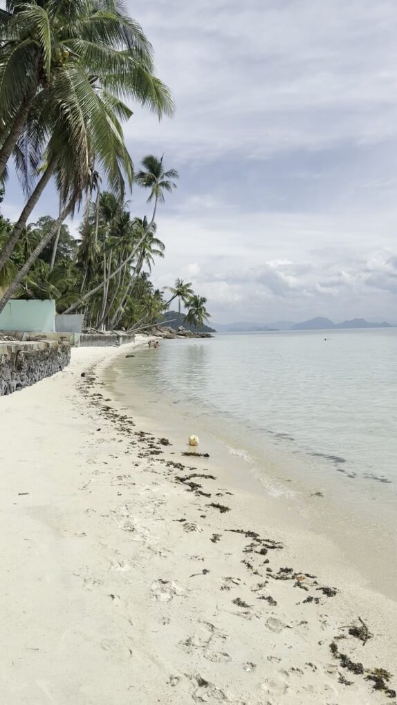 Islands near koh samui - Koh Tao and Koh Nang Yuan