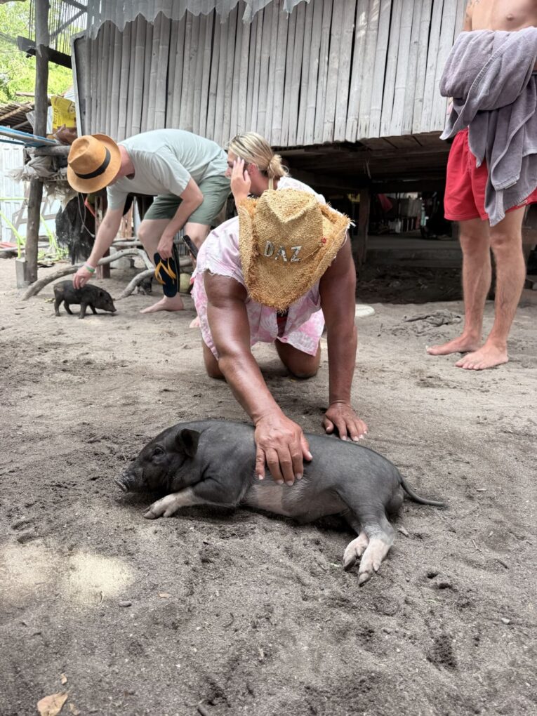 Pig Island