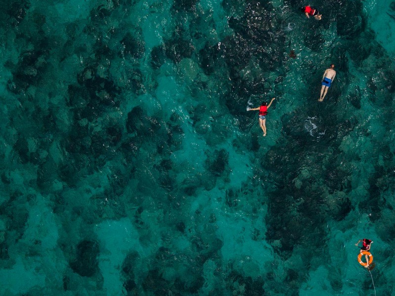 Koh tao snorkeling group illustrative