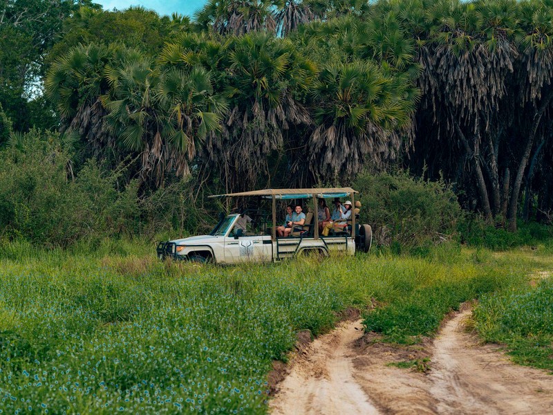 Koh samui private jungle 4x4 tour illustrative