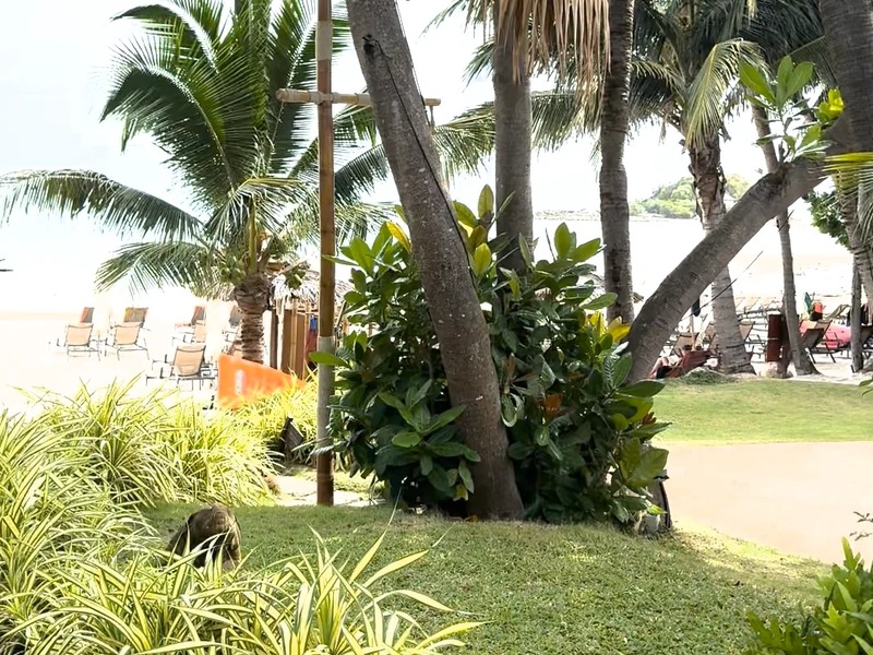 October november resort fallback
