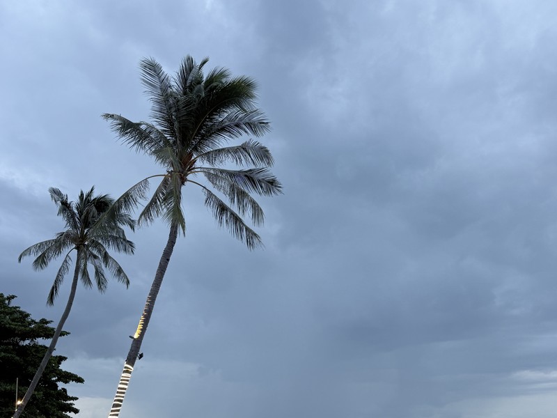 Gulf coast storm alert
