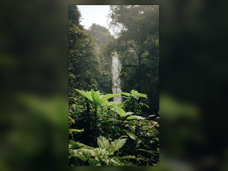 Are koh samui waterfalls worth it?