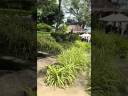 Royal Muang Samui Villas Review